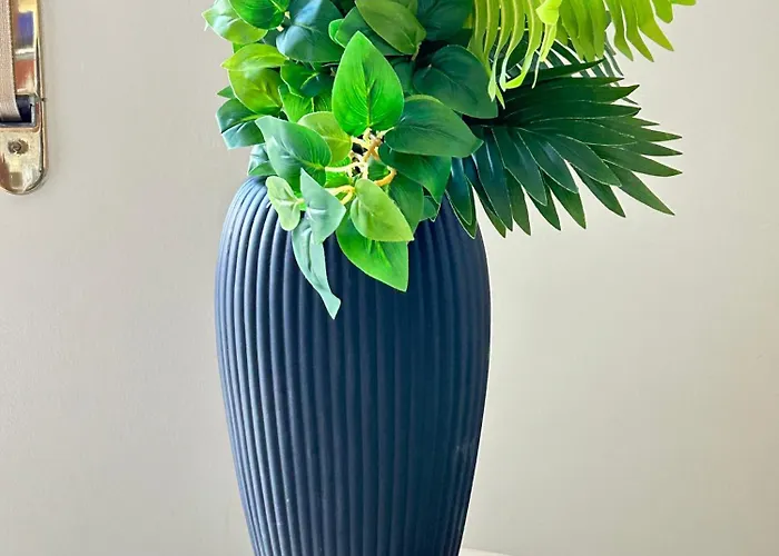 Appartement Star 200 Mt Dalla E Parcheggio Privato Viareggio